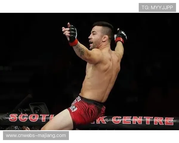 布雷迪点评雏量级冠军挑战权归属争议