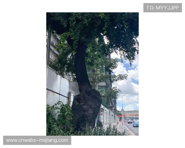 动态水印技术追踪泄露源头，保护内容资产